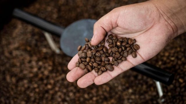 Trump’s tariffs on Brazil could make your coffee even more expensive
