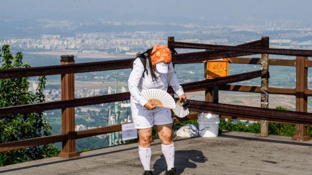 What is happening in South Korea? Seoul has caught the lovebug that nobody wants