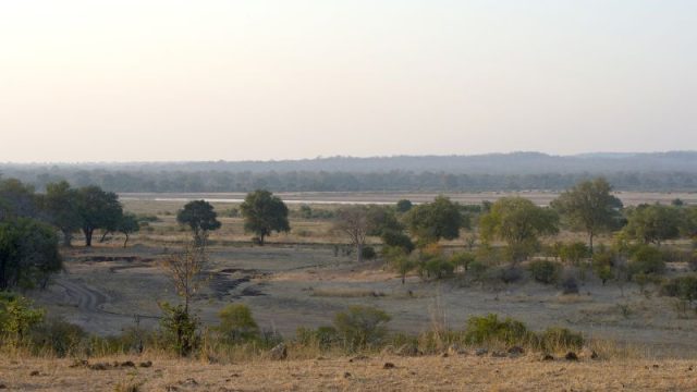 Elephant kills two female tourists from the UK and New Zealand in Zambian national park