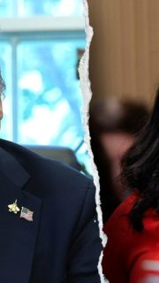 MIKE DAVIS: After Trump case collapses, time for Fani Willis to lawyer up