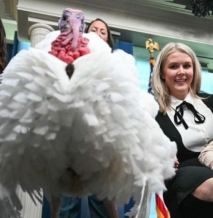 How the White House turkey pardon became an American tradition